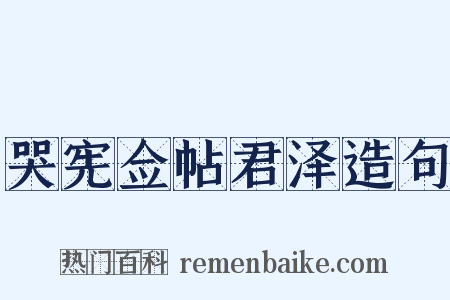 哭宪佥帖君泽造句是什么意思的图片